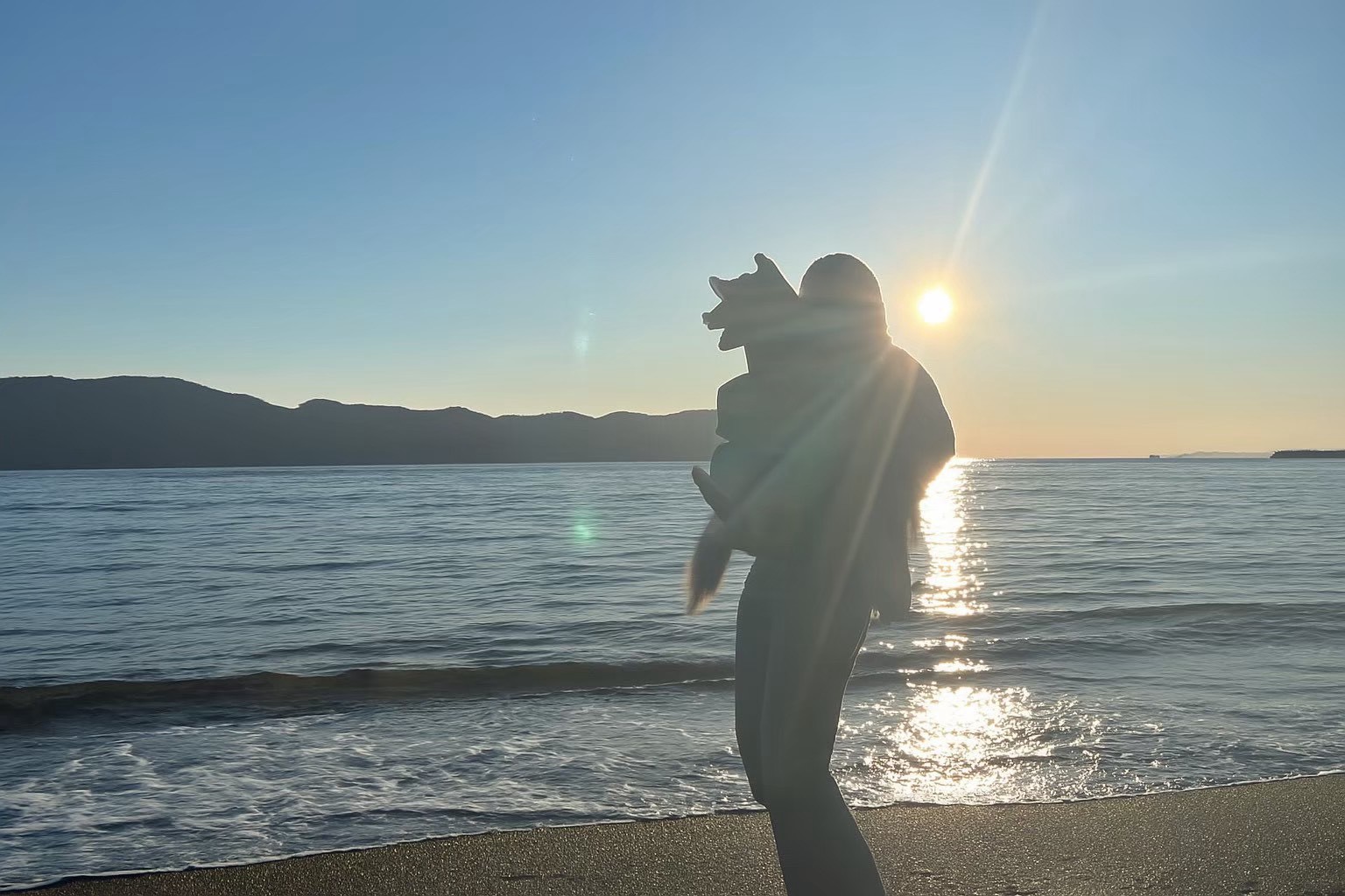 海辺で愛犬を抱く家族のシルエット